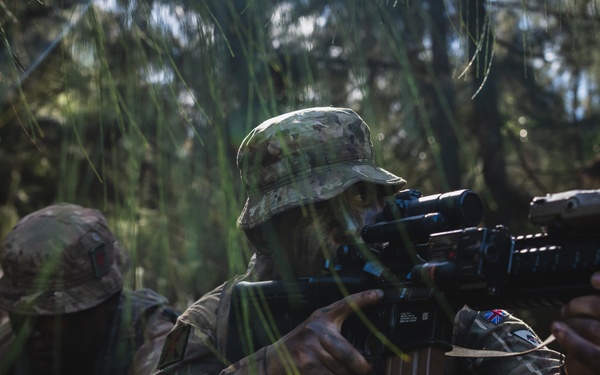 3SCOTS sets up ambush points and create escape routes during JPMRC 25-01