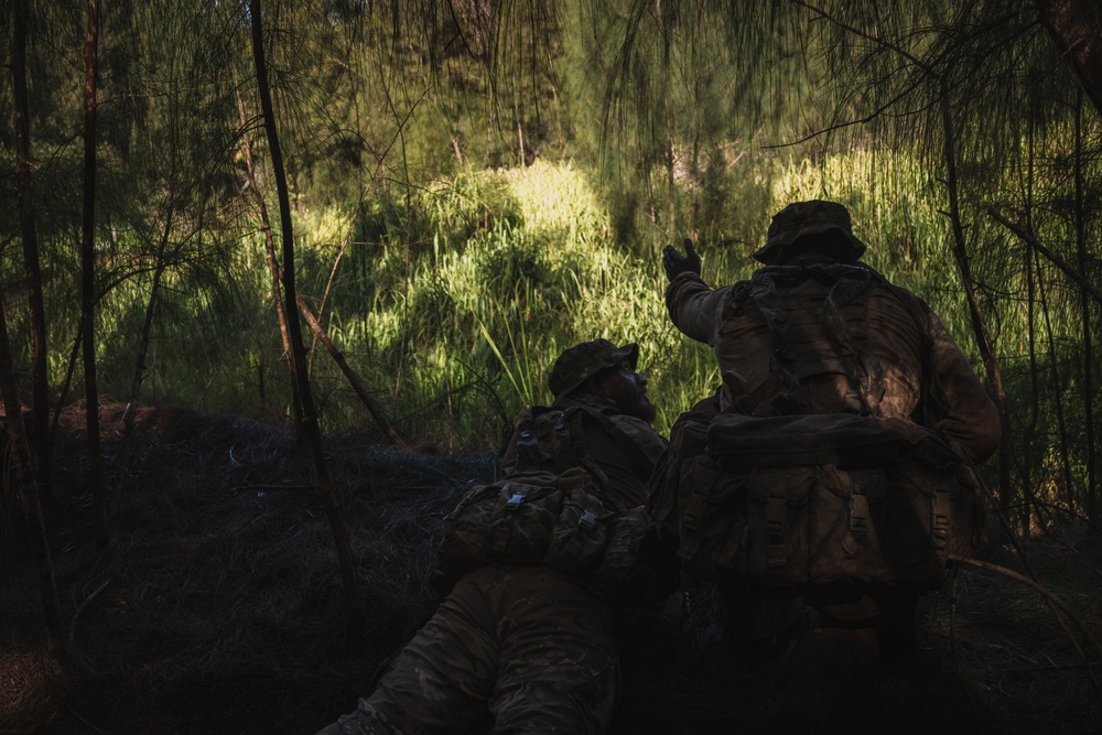 3SCOTS sets up ambush points and create escape routes during JPMRC 25-01