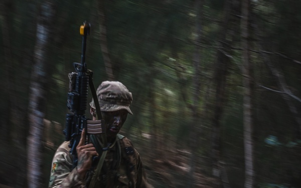 3SCOTS sets up ambush points and create escape routes during JPMRC 25-01