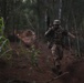 3SCOTS sets up ambush points and create escape routes during JPMRC 25-01