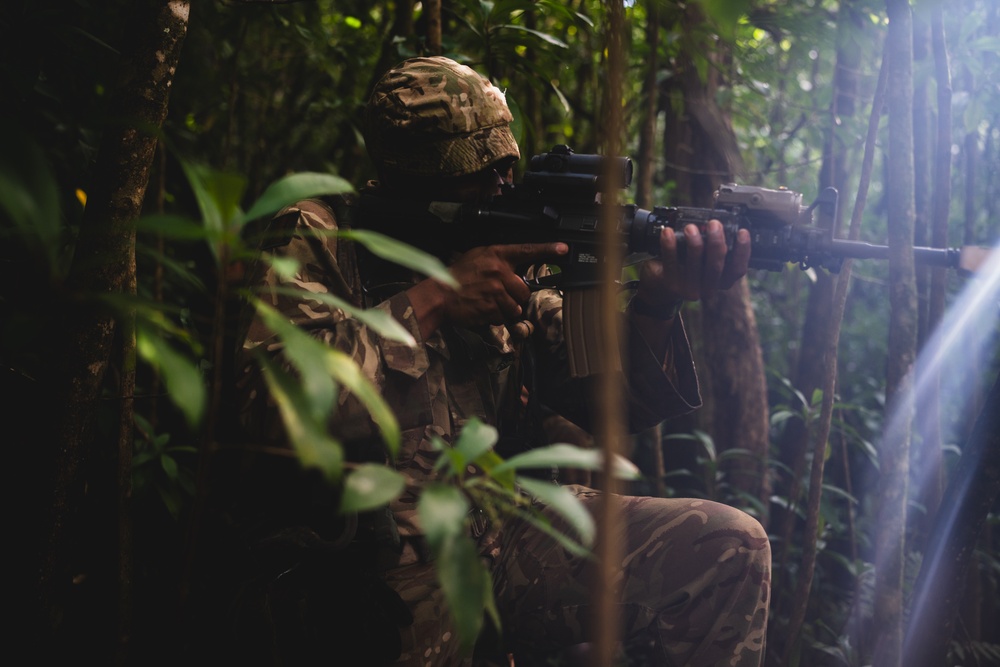 3SCOTS sets up ambush points and create escape routes during JPMRC 25-01