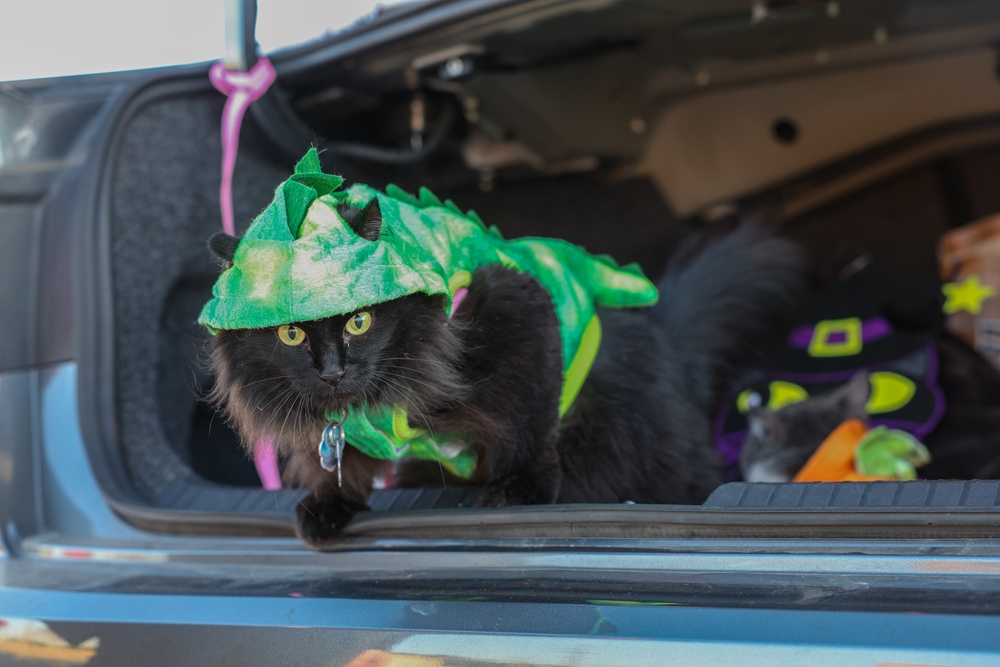 HHC, 89th MP Bde. Trunk Or Treat