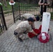 British KFOR Soldiers Hold a Memorial Service in Honor of First British Forces Lost in Kosovo Conflict