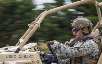 Sneek and Peek; 2d Light Armored Reconnaissance Battalion Participates in Exercise Bold Quest