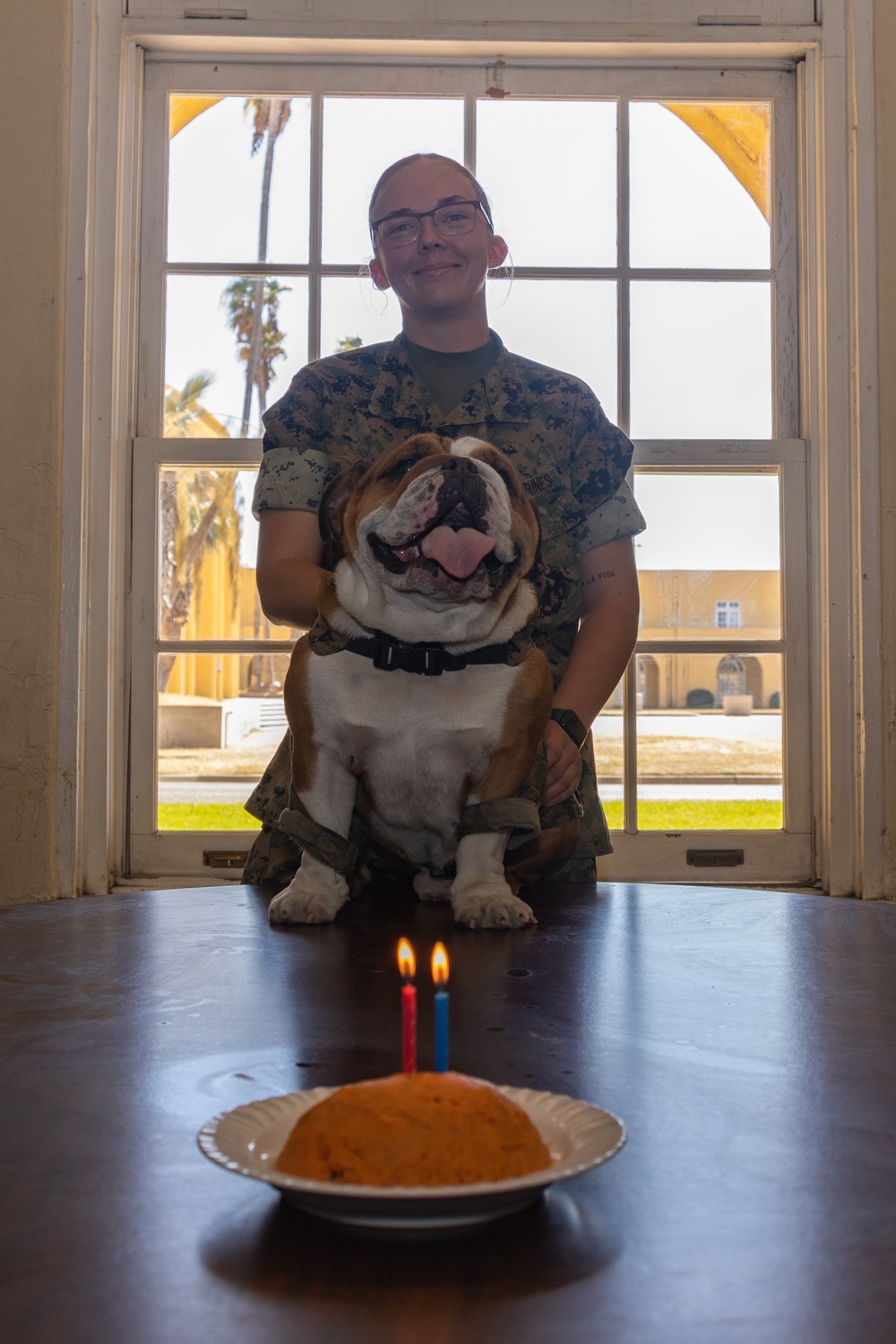 Bruno's 2nd Birthday