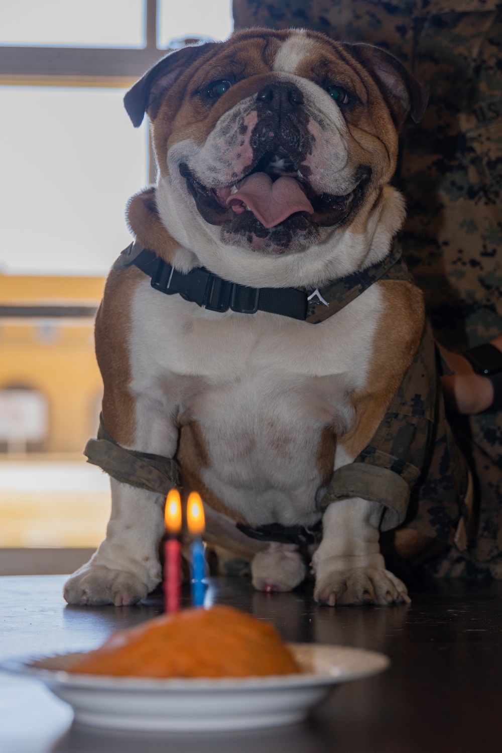 Bruno's 2nd Birthday