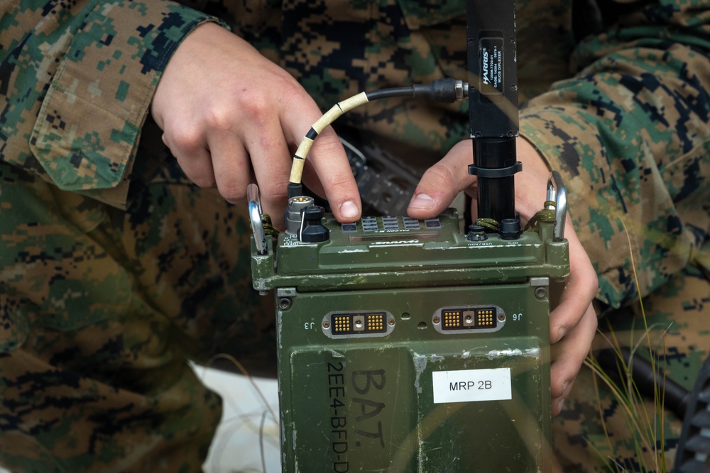 Marines with 2d Light Armored Reconnaissance Battalion Participates in Bold Quest