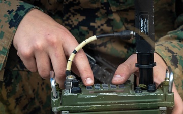 Marines with 2d Light Armored Reconnaissance Battalion Participates in Bold Quest