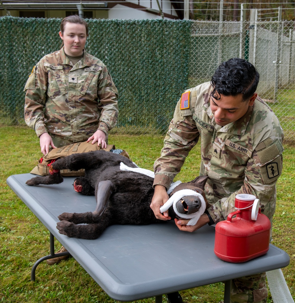 100th Military Police Detachment's Military Working Dogs Field Training Exercise (FTX)