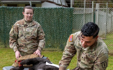 100th Military Police Detachment's Military Working Dogs Field Training Exercise (FTX)