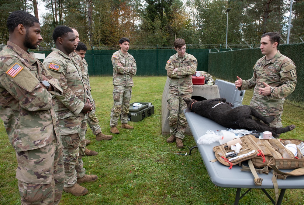 100th Military Police Detachment's Military Working Dogs Field Training Exercise (FTX)