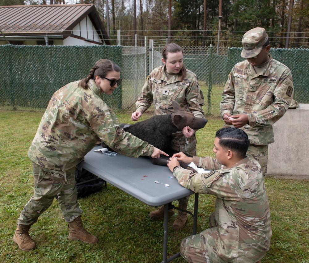 100th Military Police Detachment's Military Working Dogs Field Training Exercise (FTX)