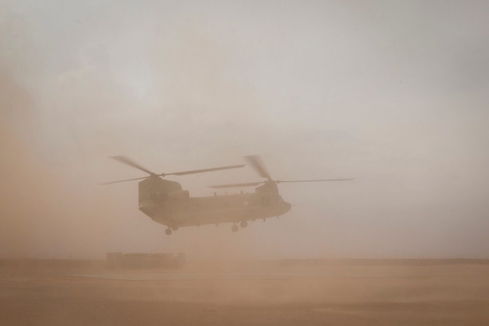 Coalition forces conduct base defense exercise