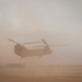 Coalition forces conduct base defense exercise