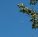 A-10 Bomb Drops at Fort McCoy