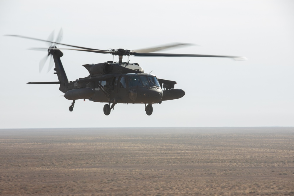 Coalition Forces conduct training exercise