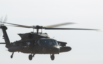 Coalition Forces conduct training exercise