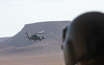 Coalition Forces conduct training exercise