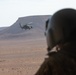 Coalition Forces conduct training exercise