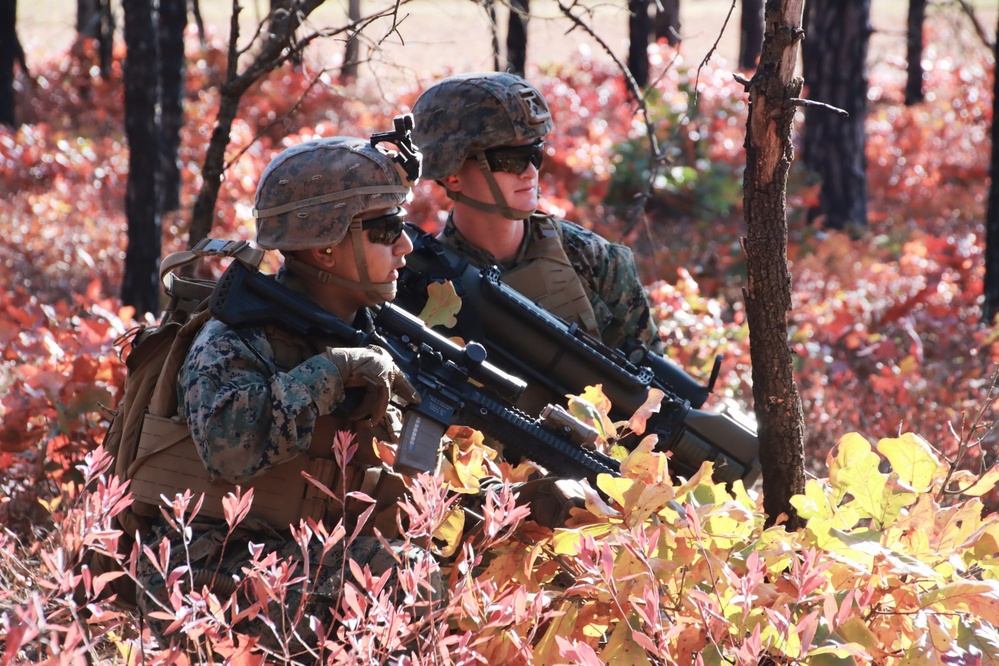 JB MDL- 2 BN 25 MARINES, Golf Company
