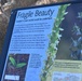 PoM restoration project protects endangered orchid