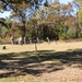 3rd ROTC Brigade detachments compete in Task Force McCoy Ranger Challenge