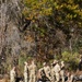 3rd ROTC Brigade detachments compete in Task Force McCoy Ranger Challenge