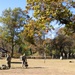 3rd ROTC Brigade detachments compete in Task Force McCoy Ranger Challenge