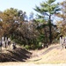 3rd ROTC Brigade detachments compete in Task Force McCoy Ranger Challenge