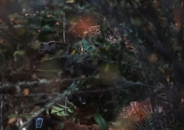 Snipe and Seek: 81st SBCT snipers take the road less traveled during stalk lanes