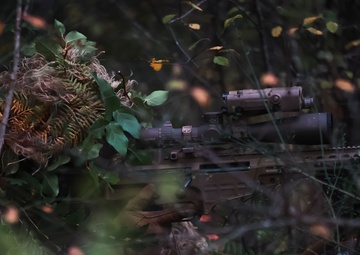Snipe and Seek: 81st SBCT snipers take the road less traveled during stalk lanes