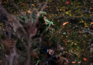 Snipe and Seek: 81st SBCT snipers take the road less traveled during stalk lanes