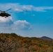 ROKA 901st Aviation Command and 517th Aviation Cavalry Squadron combined ‘Apache’ gunnery