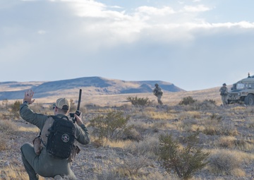 Downed but not out: pilot rescue exercise