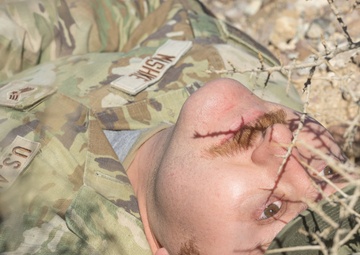 Downed but not out: pilot rescue exercise