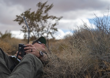 Downed but not out: pilot rescue exercise