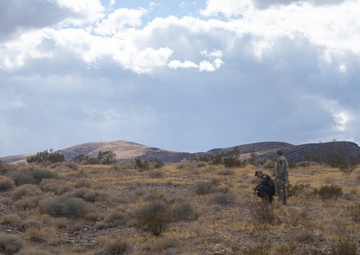 Downed but not out: pilot rescue exercise
