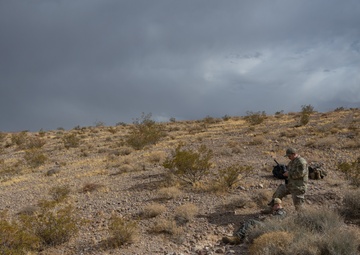 Downed but not out: pilot rescue exercise
