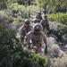 BLT 1/8, 24th MEU (SOC) Conducts Live Fire Range in Larnaca, Cyprus