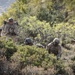 BLT 1/8, 24th MEU (SOC) Conducts Live Fire Range in Larnaca, Cyprus