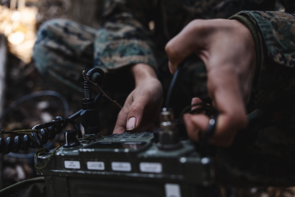 U.S. Marines Conduct Field Expedient Communications Training