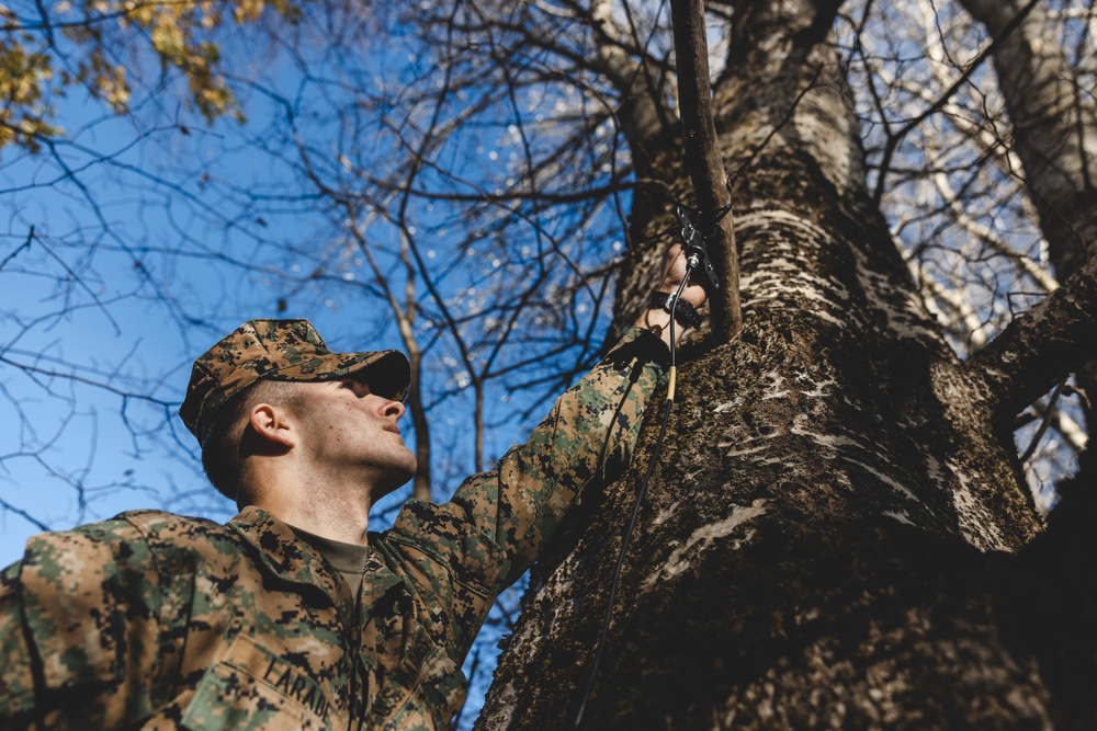 U.S. Marines Conduct Field Expedient Communications Training