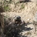 BLT 1/8, 24th MEU (SOC) Conducts Live Fire Range in Larnaca, Cyprus