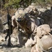 BLT 1/8, 24th MEU (SOC) Conducts Live Fire Range in Larnaca, Cyprus
