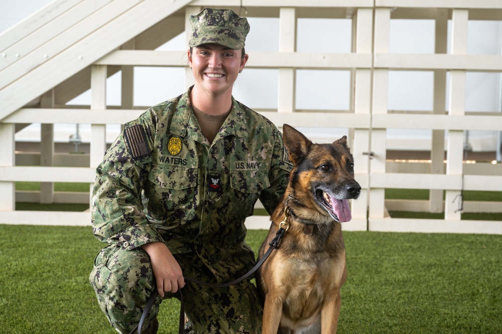 Military working dog handler