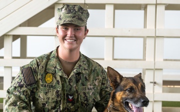 Military working dog handler