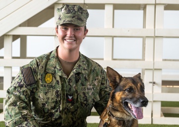 Recognition of Effort