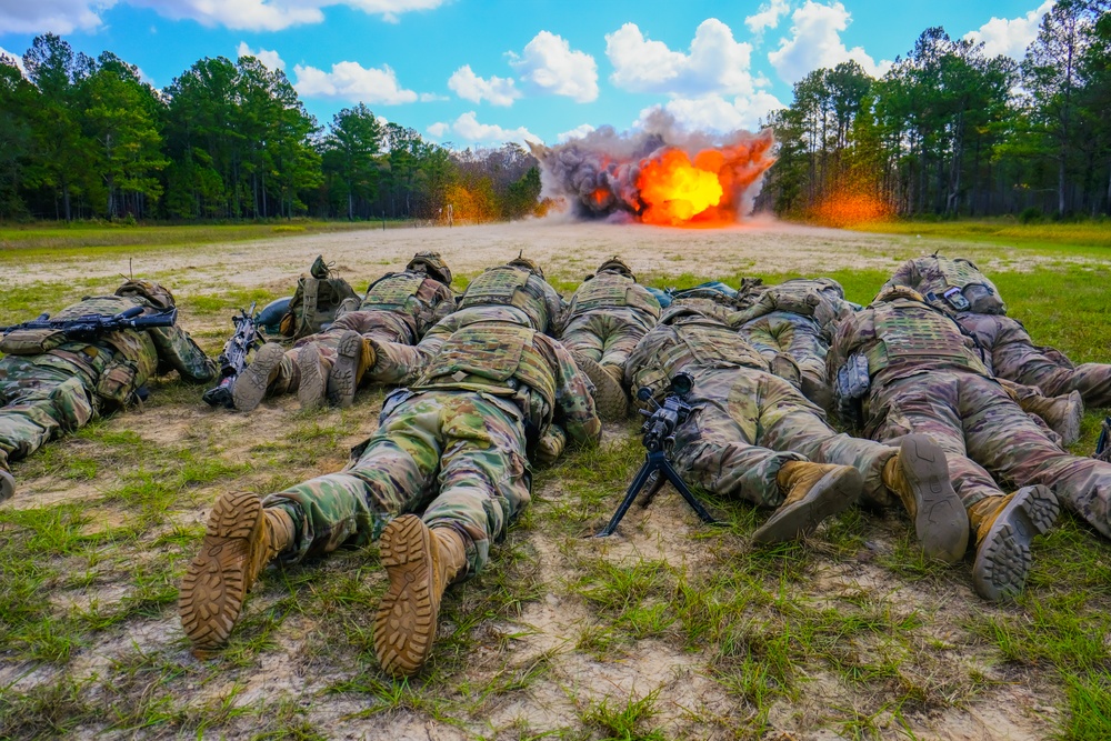 3rd Infantry Division’s 2nd Armored Brigade Combat Team Spartan Density Training