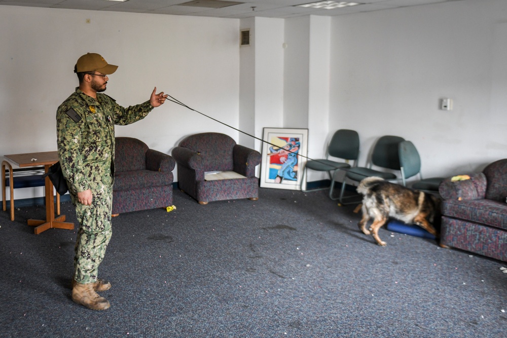 MWDs Conduct Training