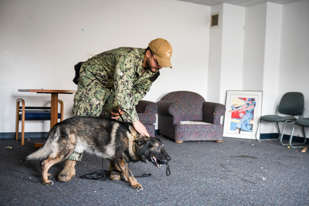 MWDs Conduct Training
